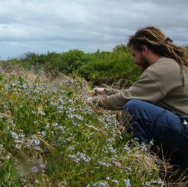 seed-collection-course